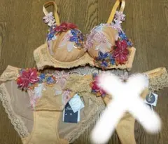 ワコールサルートSaluteプレステージ92G火の鳥E75L - メルカリ