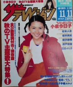 週刊ザテレビジョン 1994年11月11,18 2冊セット
