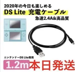 新品未使用※送料無料※DSライト/dslite 充電器 USB ケーブル互換品