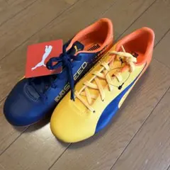 プーマ PUMA エヴォスピード 17.2 HG サッカースパイク