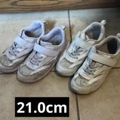 Item thumbnail for item e30cee0a-bb88-470b-a40c-f245af45468f