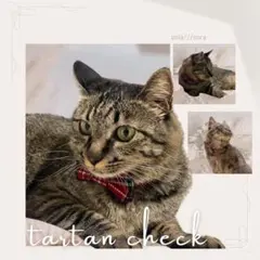クラシカルタータンチェック・レッド2way猫の首輪(B)