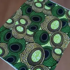 Item thumbnail for item 07f5c1cd-dec0-42b6-a599-34f6e610a59a