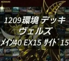 遊戯王【1209環境‼️ゲートボール構築‼️】ヴェルズデッキ40枚