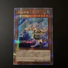 遊戯王 憑依装着ーエリア 絵違い クオシク 25th