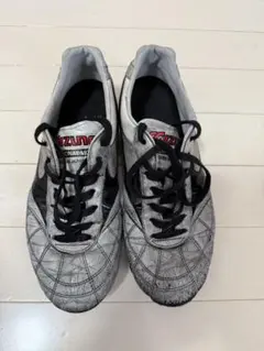 Item thumbnail for item c2939b0c-70cb-45ca-a84b-a13a420e584f