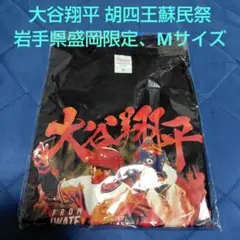 Item thumbnail for item 69690af7-78bd-436c-87e2-49feb29e200c