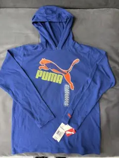 Item thumbnail for item 32f307b4-d1ea-44c6-91d0-be23d09f0a95