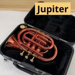 2026年最新】jupiter ポケットトランペットの人気アイテム - メルカリ