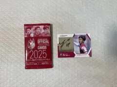 ファジアーノ岡山サイン