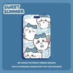 ICカードケース Suica対応 キーホルダー付き パスケース