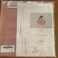 チェックアンドストライプ　ぺたんこポーチのキット