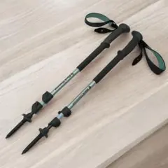 Item thumbnail for item caed2160-c7c6-4e45-9eab-edde10f81c96