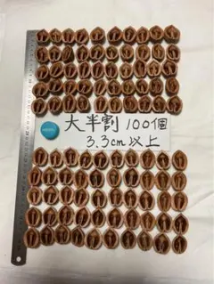 くるみの殻 半割　大つぶ100個