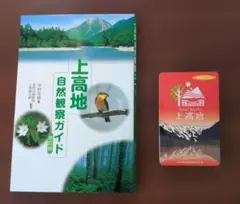 Item thumbnail for item 46e2aa6f-fcc2-409a-b56a-4aef40fdc1bb