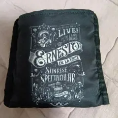 【新品未使用】 ディズニーストア　リメンバー・ミー　エコバッグ