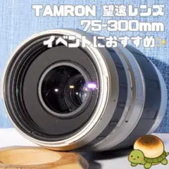 ✨TAMRON AF 75-300mm ✨キヤノン用望遠レンズ✨のサムネイル
