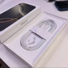 Item thumbnail for item c4165ead-dee1-42f6-bd13-9d1705d4f386