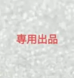 専用出品
