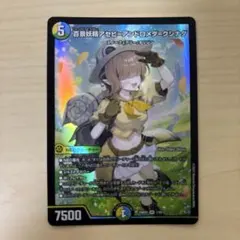 2026年最新】アセビアンドロメダの人気アイテム - メルカリ