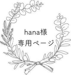 hana様 リクエスト 3点 まとめ商品