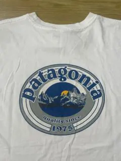 Patagonia Tシャツ ９０sベネフィシャル製 オーバル スペシャルロゴのサムネイル