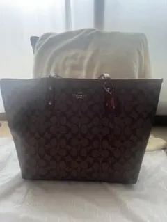 Item thumbnail for item 2f53e1de-39b1-4cc1-a80b-0a668b84535c