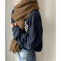 Item thumbnail for item 85adab62-7a75-4a2d-bb36-303b6fd6ff6e