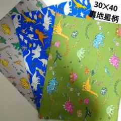 恐竜　ランチマット30✕40 3点セット ハンドメイド