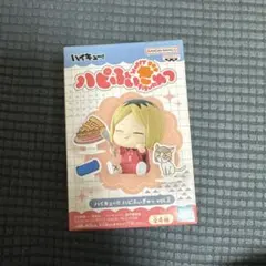 孤爪研磨 アニメ