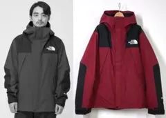 【XL】THE NORTH FACE マウンテンジャケット