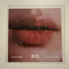 straykids スキズ バンチャン ATE リップカード