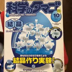 2025年最新】科学のタマゴの人気アイテム - メルカリ