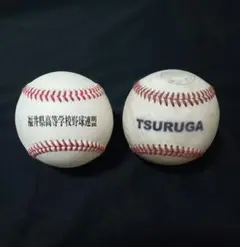 高校野球　甲子園　試合球　練習球　グッズ　硬式ボール　非売品　硬式球　福井県
