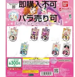 アイカツプリパラ　だれでもアクリルチャーム1　13個セット