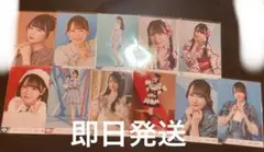 鈴木瞳美生写真11枚まとめ売り