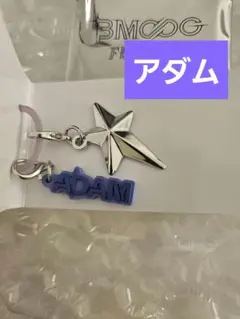 BMSG FES'26 ランダム マーカーチャーム ADAM アダム