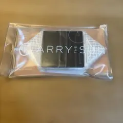 CARRY THE SUNのサムネイル