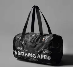 Item thumbnail for item 607d7634-e10b-44e7-bb72-b5373e42d474