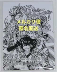 聖闘士星矢 THE LOST CANVAS 冥王神話 外伝14巻アニメイト特典 - メルカリ