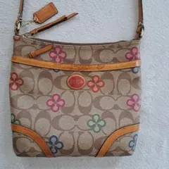 Item thumbnail for item 7f672ea9-8d5a-4564-9691-619ebb7116f6