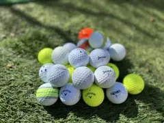 Item thumbnail for item 6f321587-97d8-4b44-a9df-1caae865ab6e