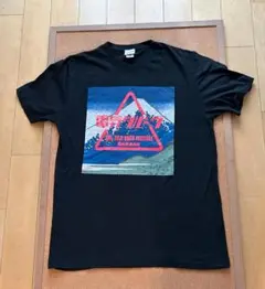 2016 FUJI ROCK FESTIVAL Tシャツ XL GAN-BAN