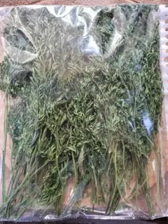 Item thumbnail for item 8543c94e-a109-4eb3-9c7a-1737a20889d3