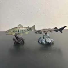 魚フィギュア