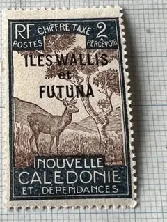 Tanya様 リクエスト 10点 まとめ商品