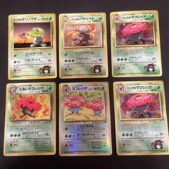 ライチュウ ドガース フシギソウ フシギダネ イントロパック 旧裏