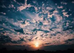 【るい様専用】