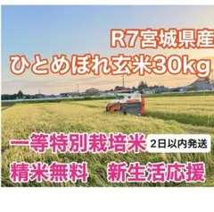 新生活応援米令和7年産宮城県ひとめぼれ玄米30kg 精米無料 一等米 数量