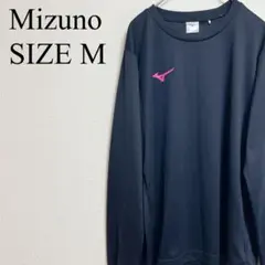 Item thumbnail for item f2eff116-7ce2-484e-bf83-0a166336a1d4